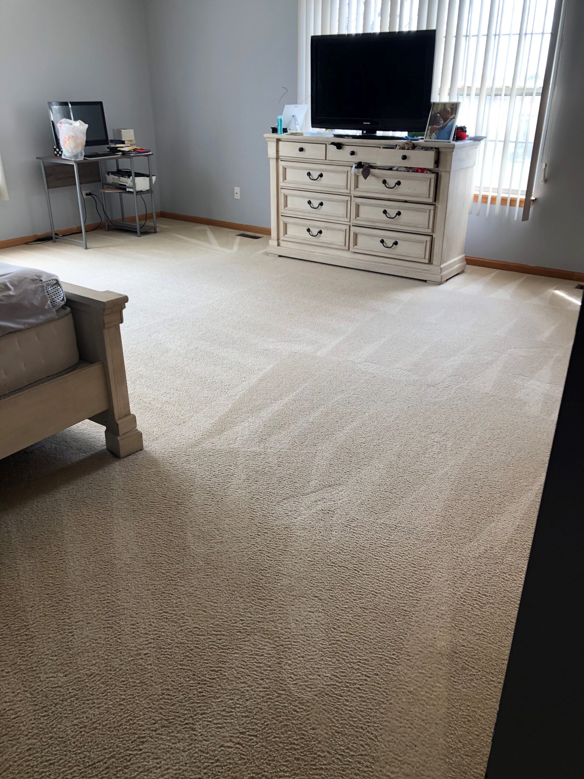 Carpet Red Bear Carpet Cleaning