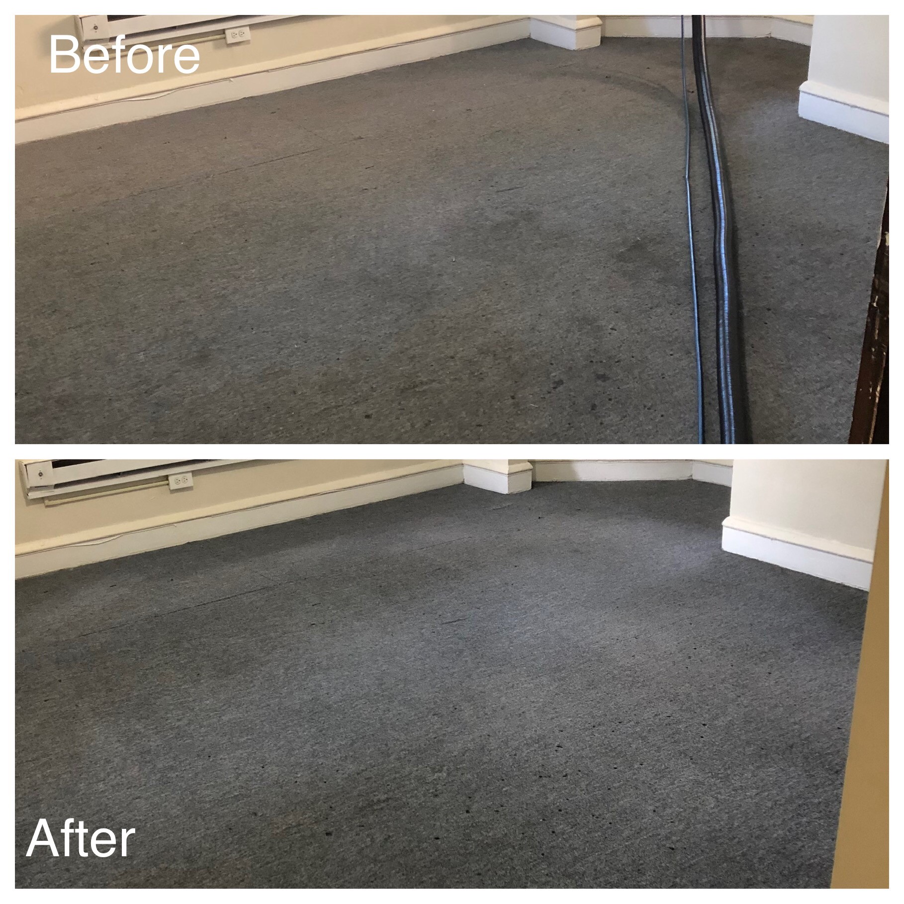 Carpet Red Bear Carpet Cleaning